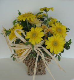 ����ԁ@���ԃA�����W/�C�G���[�K�[�x���@�o�X�P�b�g